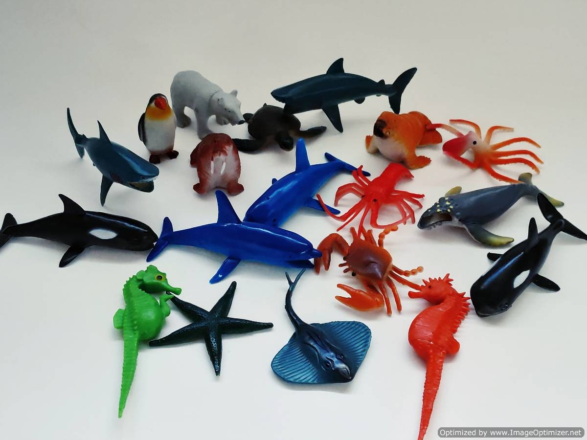 Jūros gyvūnų rinkinys''Ocean animals''
